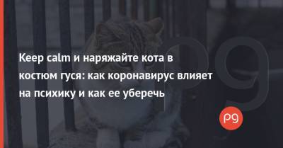Keep calm и наряжайте кота в костюм гуся: как коронавирус влияет на психику и как ее уберечь - thepage.ua