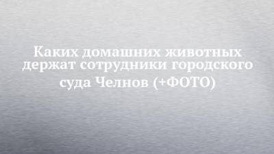 Каких домашних животных держат сотрудники городского суда Челнов (+ФОТО) - chelny-izvest.ru - Набережные Челны