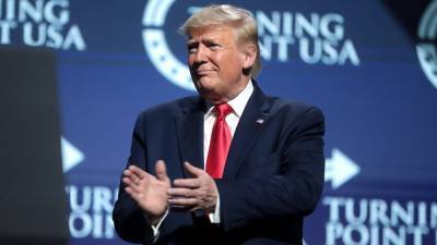 Дональд Трамп - Вадим Наумов - СМИ: Трамп хочет себя помиловать - nation-news.ru - США - Вашингтон - New York