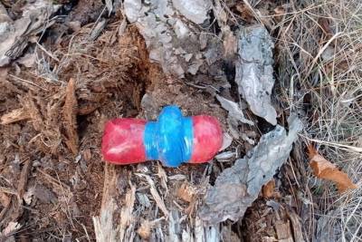 В Симферополе задержали наркоторговца из Тверской области - crimea.mk.ru - Крым - Симферополь - Тверская обл.