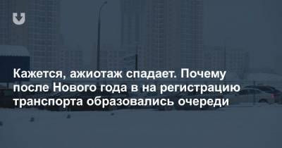 Слишком много выходных или транспортный налог? Что говорят в очереди на сверку номеров в Ждановичах - news.tut.by