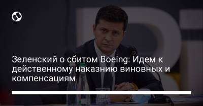 Владимир Зеленский - Зеленский о сбитом Boeing: Идем к действенному наказнию виновных и компенсациям - liga.net - Иран