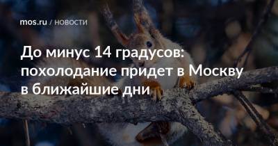 Петр Бирюков - До минус 14 градусов: похолодание придет в Москву в ближайшие дни - mos.ru - Москва - Московская обл.