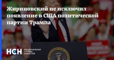 Дональд Трамп - Владимир Жириновский - Жириновский не исключил появление в США политической партии Трампа - nsn.fm - США