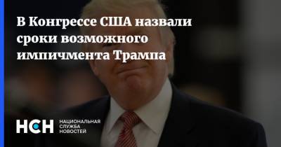Дональд Трамп - В Конгрессе США назвали сроки возможного импичмента Трампа - nsn.fm - США