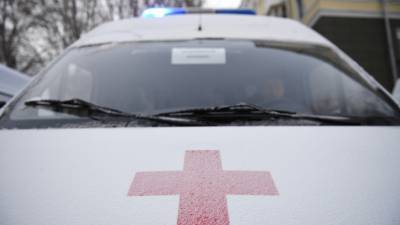 На юго-востоке Москвы водитель сбил троих пешеходов - russian.rt.com - Москва - Смоленск
