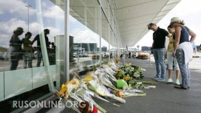 Юрий Антипов - В деле MH17 появились железные доказательства в пику "украинско-американской жвачке" - rusonline.org - Гаага