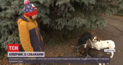 Мальчик-рыбак из Донбасса спасает бездомных собак: история доброты - tsn.ua - Светлодарск - Донбасс