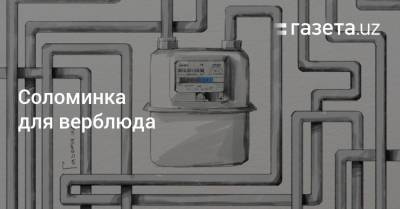 Соломинка для верблюда - gazeta.uz - Ташкент