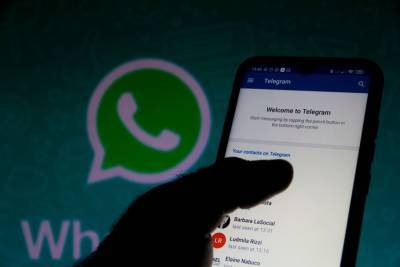 Павел Дуров - Дуров связал переход пользователей в Telegram с новой политикой WhatsApp - m24.ru