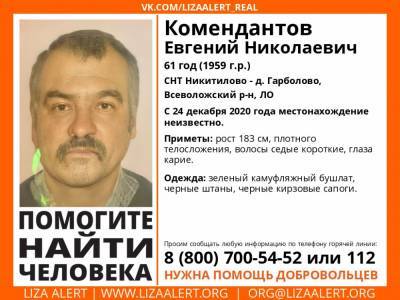 Во Всеволожском районе без вести пропал 61-летний мужчина - ivbg.ru - Ленобласть