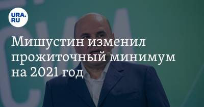 Михаил Мишустин - Мишустин изменил прожиточный минимум на 2021 год - ura.news