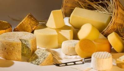 Украина увеличила импорт сыра - hubs.ua - Египет - Молдавия