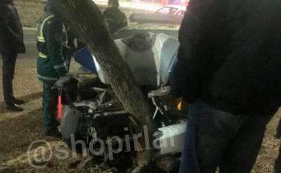 В Ташкенте автомобиль ДПС врезался в дерево. В ГУВД опровергли информацию, что водитель был пьян - podrobno.uz - Узбекистан - Ташкент - район Яшнабадский