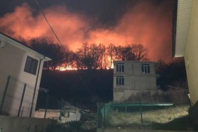 Напротив сочинского аэропорта загорелся лес - kuban.mk.ru - Сочи