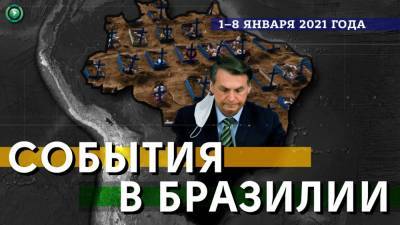 Жаир Болсонар - Жаир Болсонару срывает планы по вакцинации населения Бразилии - riafan.ru - Бразилия - Сан-Паулу - штат Луизиана