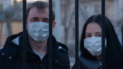 В Черноземье выявили 1243 носителя коронавируса - vestivrn.ru - Воронежская обл.