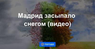 Анна Лысенко - Мадрид засыпало снегом (видео) - news.mail.ru - Испания - Мадрид - Madrid