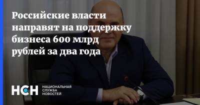 Михаил Мишустин - Александр Калинин - Российские власти направят на поддержку бизнеса 600 млрд рублей за два года - nsn.fm
