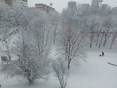 В Минске выпало почти половина месячной нормы осадков - naviny.by - Минск - Гомель - Мозырь - Витебск - Бобруйск