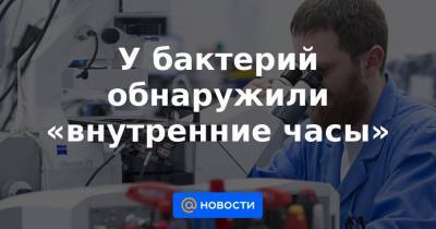У бактерий обнаружили «внутренние часы» - news.mail.ru