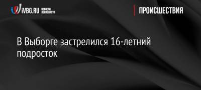 В Выборге застрелился 16-летний подросток - ivbg.ru - Выборг