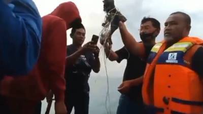 Джоко Видодо - В Минтрансе Индонезии назвали точное число пассажиров на борту разбившегося лайнера - polit.info - Индонезия