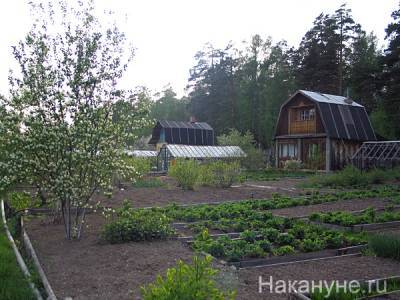 Егор Редин - Россияне могут схлопотать штраф за картошку в огороде - nakanune.ru