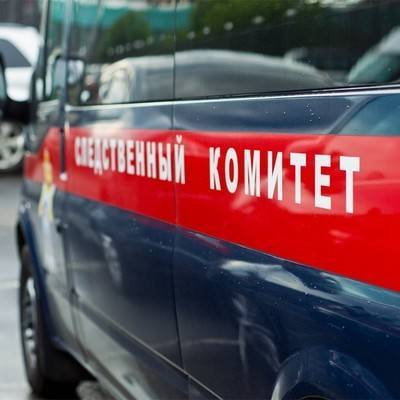 Александр Бастрыкин - СК взял на контроль дело дело о гибели людей под лавиной в Норильске - radiomayak.ru - Красноярский край - Тюмень - Тюменская обл. - Норильск