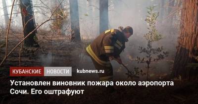 Установлен виновник пожара около аэропорта Сочи. Его оштрафуют - kubnews.ru - Сочи - Краснодарский край