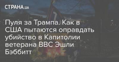 Дональд Трамп - Эшли - Пуля за Трампа. Как в США пытаются оправдать убийство в Капитолии ветерана ВВС Эшли Бэббитт - strana.ua - США - Вашингтон - New York - Сан-Диего - шт. Калифорния