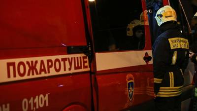 В Пермском крае при пожаре погибли двое детей - iz.ru - Россия - Израиль - Пермский край