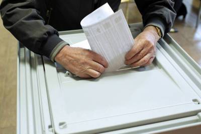 Петербургский избирком признал действительными результаты выборов на «поддельном» участке - neva.today - Санкт-Петербург