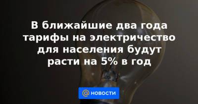 Николай Шульгинов - В ближайшие два года тарифы на электричество для населения будут расти на 5% в год - news.mail.ru - Россия
