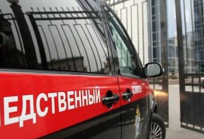 Тела двух застреленных супругов нашли в Ленобласти - online47.ru - Ленинградская обл. - район Волосовский - Следственный Комитет