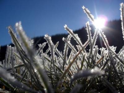 В начале октября в Украине ожидаются солнечная погода и ночные заморозки - mediavektor.org - Украина