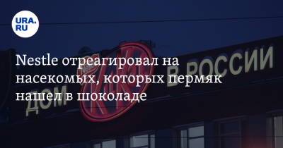 Nestle отреагировал на насекомых, которых пермяк нашел в шоколаде - ura.news - Пермь - Пермский край