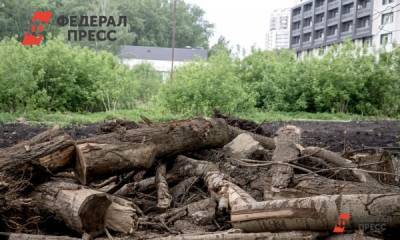 Экоконфликты Урала: протесты, зеленая река и черные лесорубы - fedpress.ru - Урфо - Красноуфимск - Экология