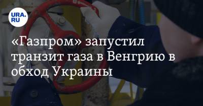 «Газпром» запустил транзит газа в Венгрию в обход Украины - ura.news - Украина - Венгрия