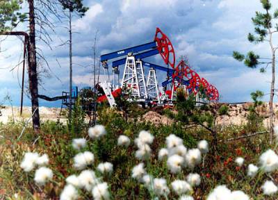 Мохаммед Баркиндо - Минфин допустил "катастрофическое" снижение спроса на нефть - nakanune.ru