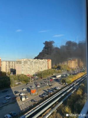 Прокуратура проведет проверку из-за крупного пожара в многоэтажке в Тюмени - newdaynews.ru - Тюмень - Тюменская обл.