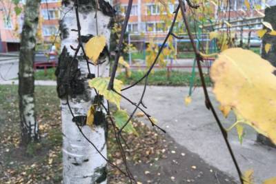 Смоляне выберут народного участкового, который представит область в финале конкурса - mk-smolensk.ru - Россия - Смоленская обл. - Десногорск