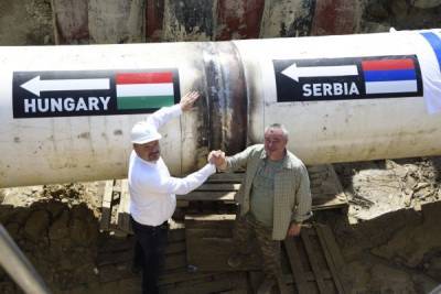 «Турецкий поток» дал первый газ в Венгрию по сербскому маршруту - eadaily.com - Венгрия - Болгария - Сербия