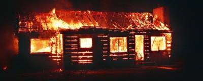В Пермском крае в деревне Новая Каменка во время пожара погибли двое детей - runews24.ru - Пермский край