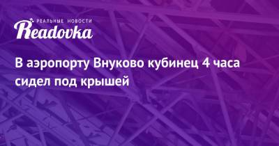 В аэропорту Внуково кубинец 4 часа сидел под крышей - readovka.news - Москва