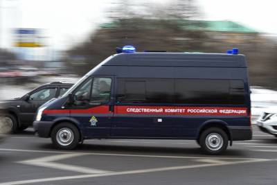 Ольга Врадий - Мумифицированные тела мужчины и женщины обнаружили в подмосковном Одинцове - vm.ru - Москва - Россия