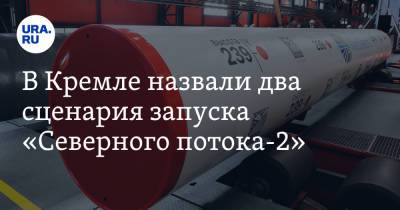 Дмитрий Песков - В Кремле назвали два сценария запуска «Северного потока-2» - ura.news - Россия - Украина - Киев - Германия
