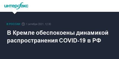 Дмитрий Песков - В Кремле обеспокоены динамикой распространения COVID-19 в РФ - interfax.ru - Москва - Россия