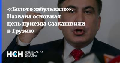 Михаил Саакашвили - «Болото забулькало». Названа основная цель приезда Саакашвили в Грузию - nsn.fm - Грузия - Тбилиси