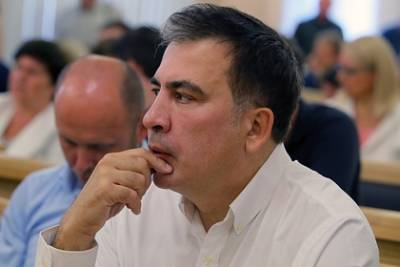 Михаил Саакашвили - Мамука Мдинарадзе - В Грузии опровергли возвращение Саакашвили и назвали его «обезьяной» - lenta.ru - Украина - Грузия